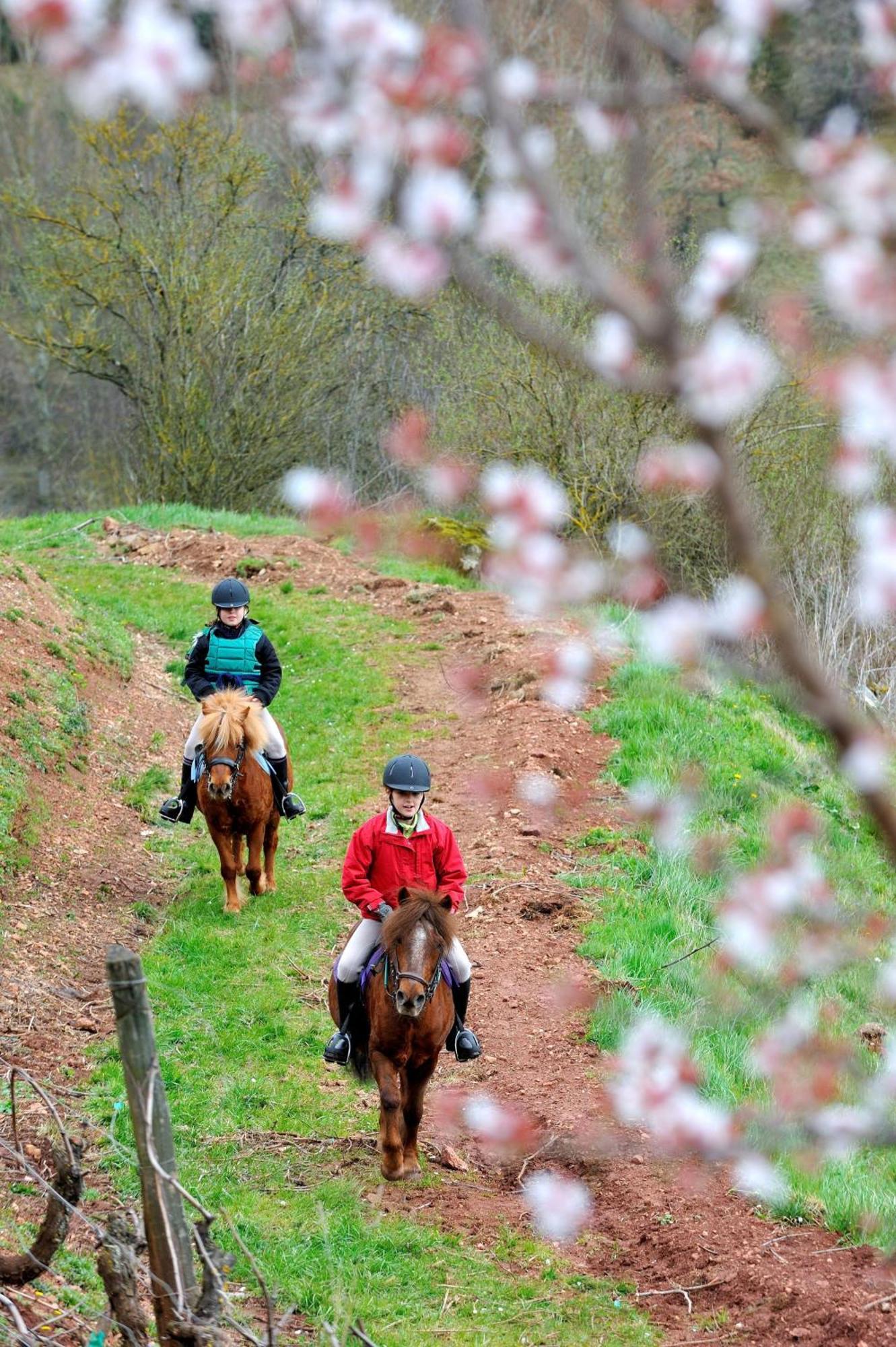 La Fregiere Chalets Clairvaux-d'Aveyron المظهر الخارجي الصورة