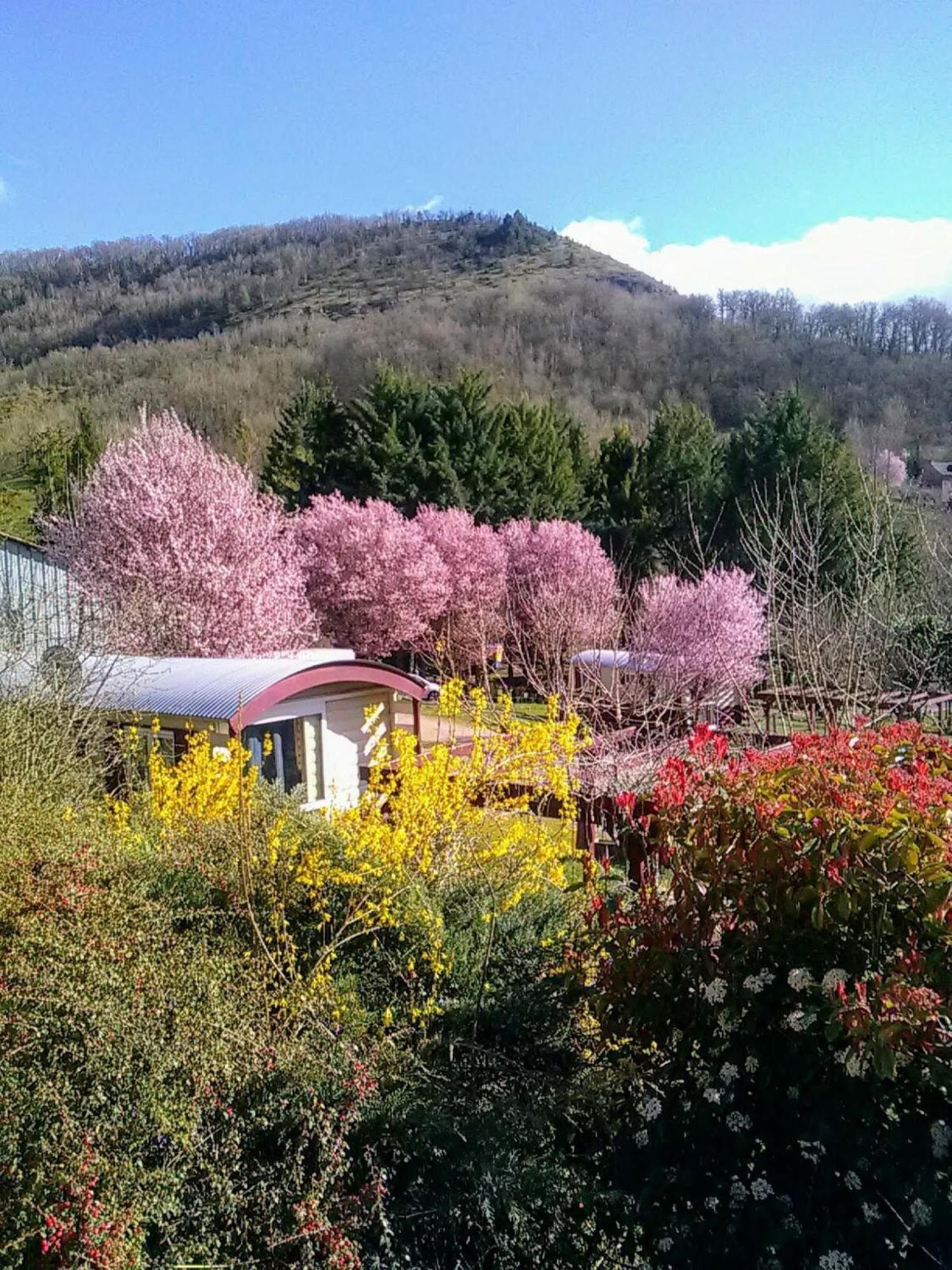 La Fregiere Chalets Clairvaux-d'Aveyron المظهر الخارجي الصورة