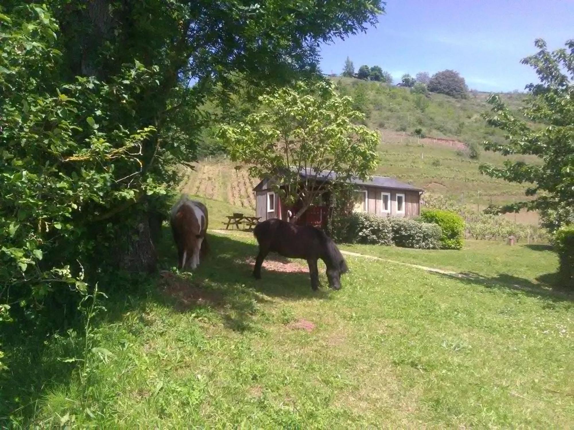 La Fregiere Chalets Clairvaux-d'Aveyron المظهر الخارجي الصورة