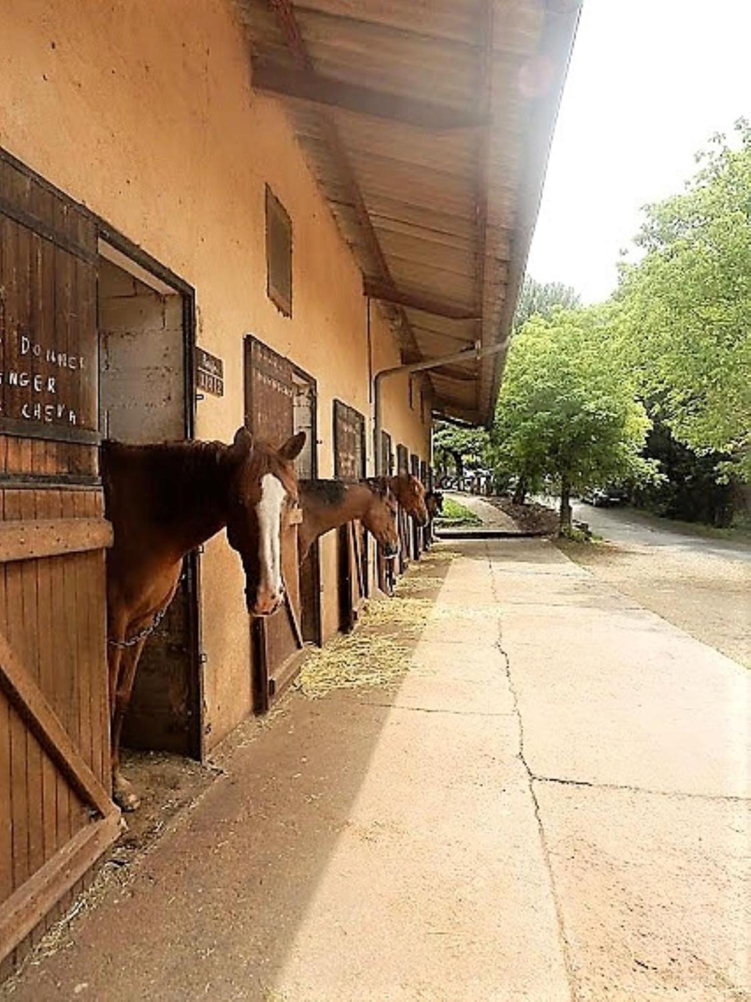 La Fregiere Chalets Clairvaux-d'Aveyron المظهر الخارجي الصورة