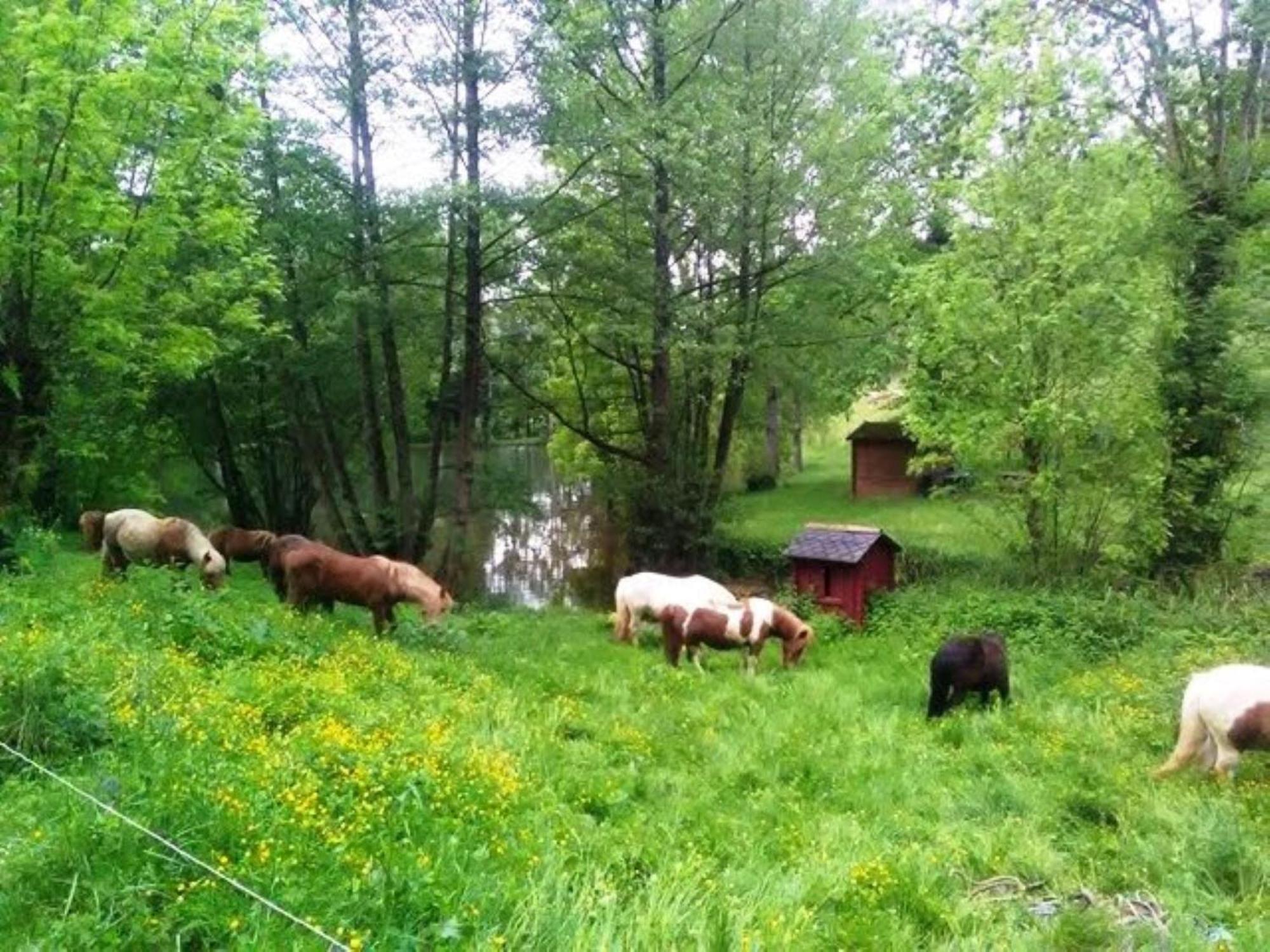 La Fregiere Chalets Clairvaux-d'Aveyron المظهر الخارجي الصورة