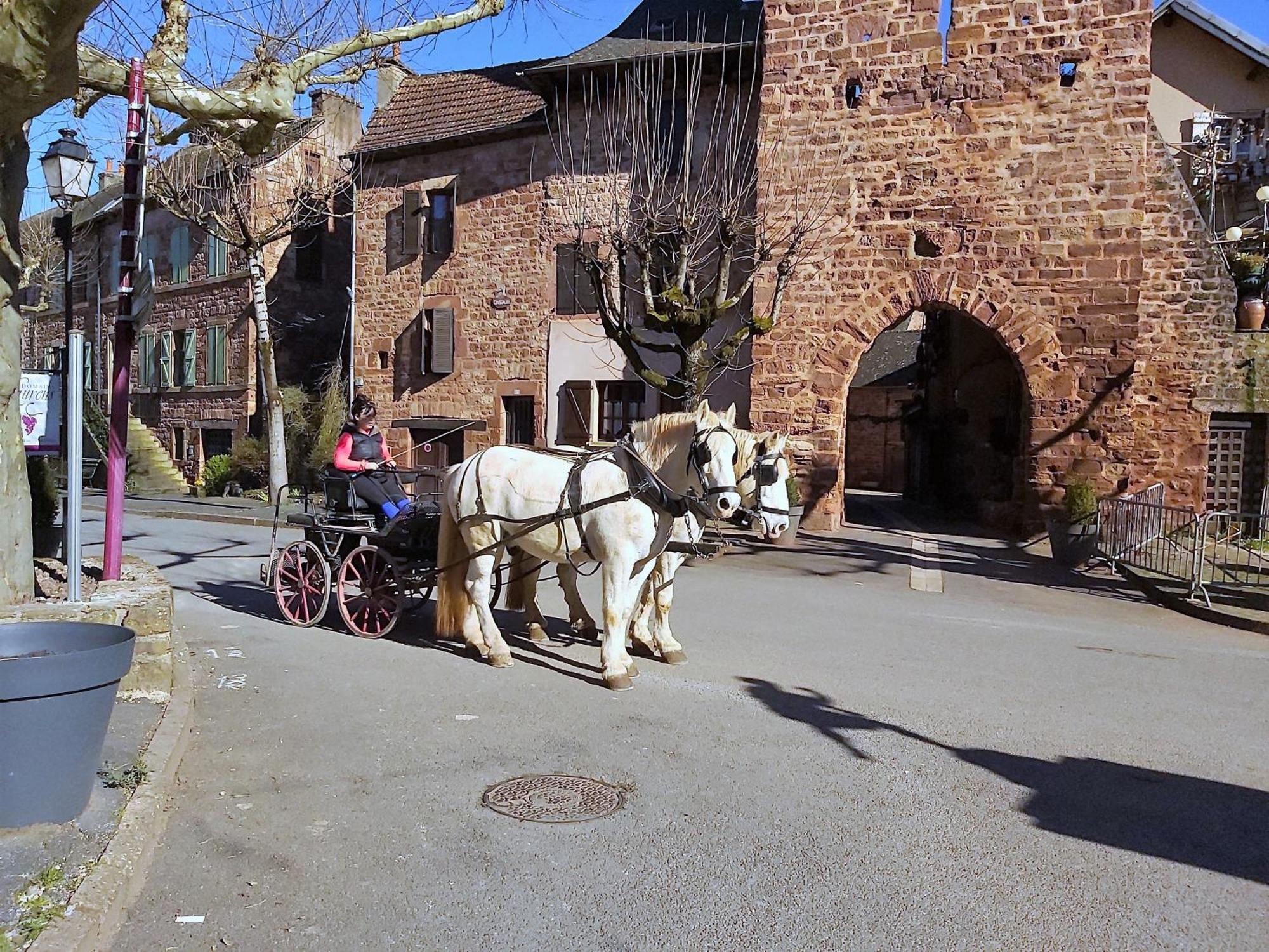 La Fregiere Chalets Clairvaux-d'Aveyron المظهر الخارجي الصورة