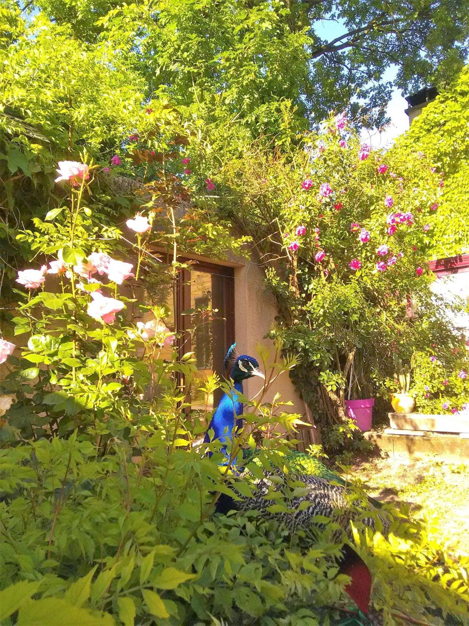 La Fregiere Chalets Clairvaux-d'Aveyron المظهر الخارجي الصورة